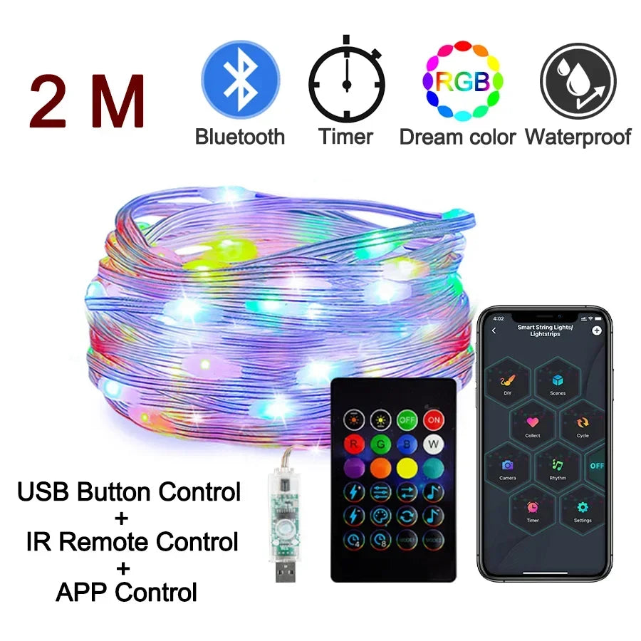 Dreamcolor Rgb Led Strip WS2812B Bluetooth Smart String Fairy Lights Christmas Garland Light Waterproof For Party Curtain Room