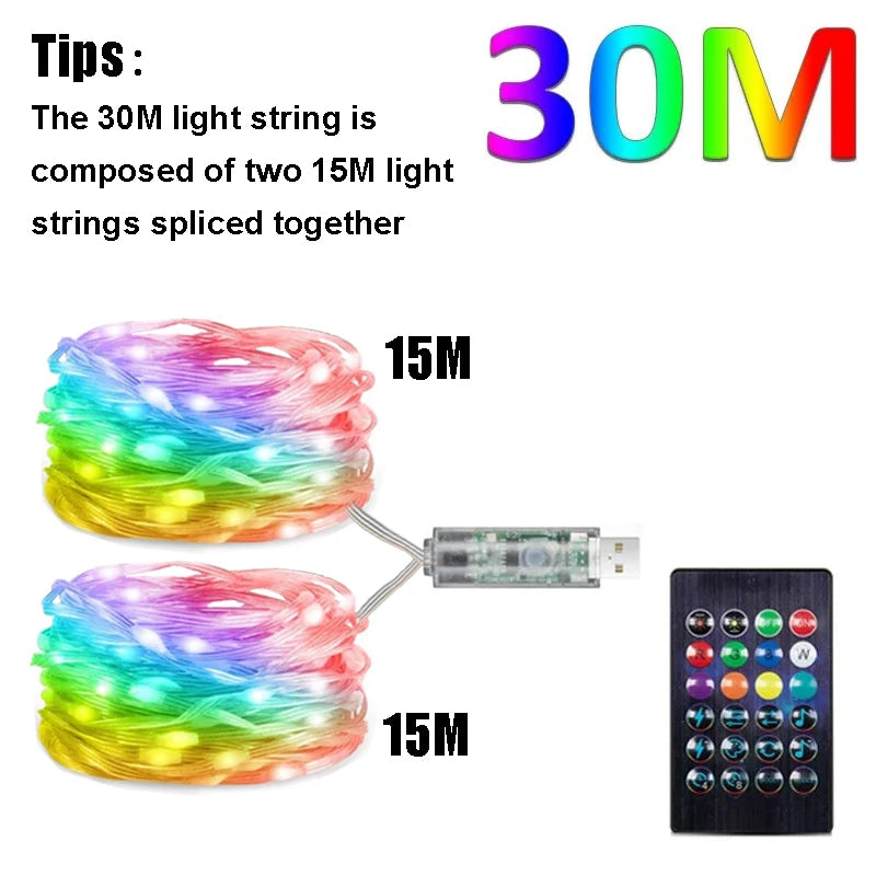 Dreamcolor Rgb Led Strip WS2812B Bluetooth Smart String Fairy Lights Christmas Garland Light Waterproof For Party Curtain Room