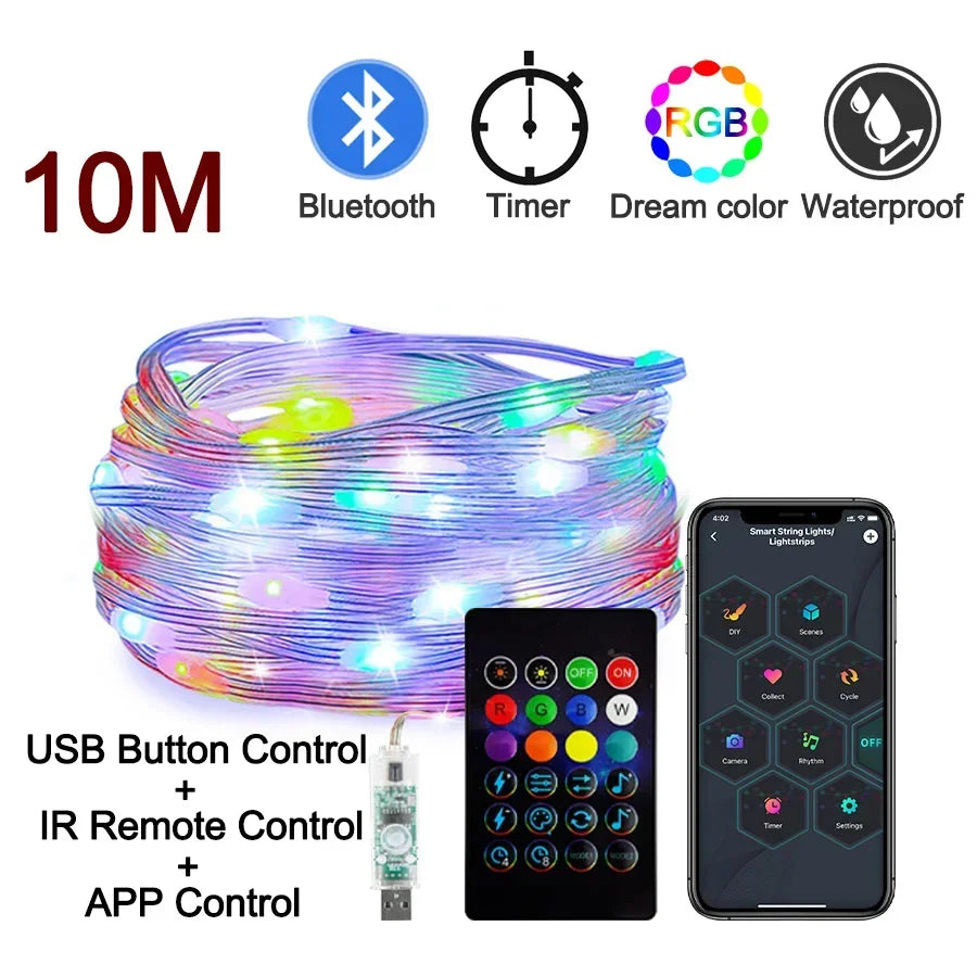 Dreamcolor Rgb Led Strip WS2812B Bluetooth Smart String Fairy Lights Christmas Garland Light Waterproof For Party Curtain Room